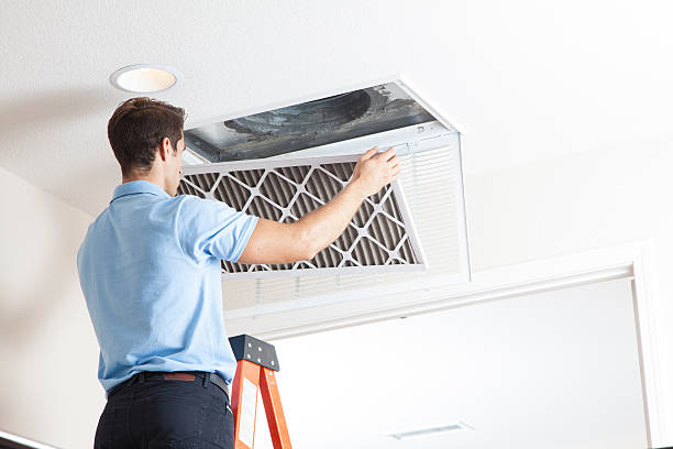 Best HVAC cleaning services  in Fruitland Park, FL